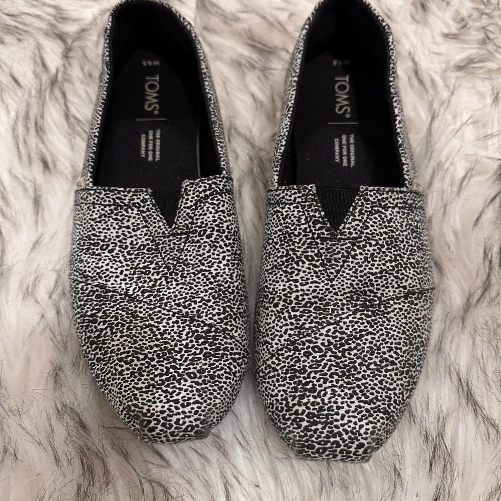 Tom’s size 6.5